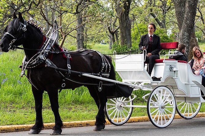 Central Park and NYC Horse Carriage Ride Review - Iconic Landmarks and Attractions