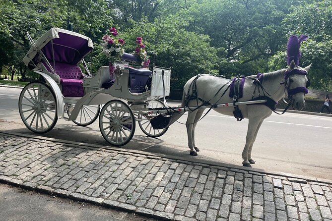 Central Park Horse Carriage Rides Since 2005