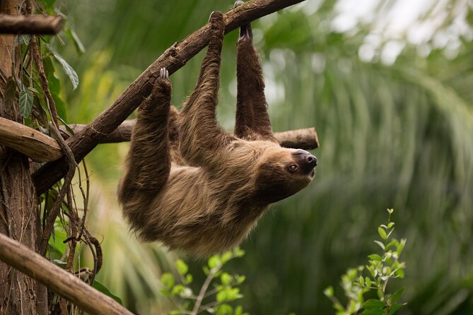 Central Park Zoo Skip-the-line Tickets Review - Ticket and Zoo Access Details