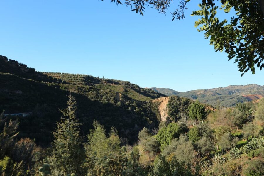 Chania: Nature Road Trip With Botanical Garden and Lunch!