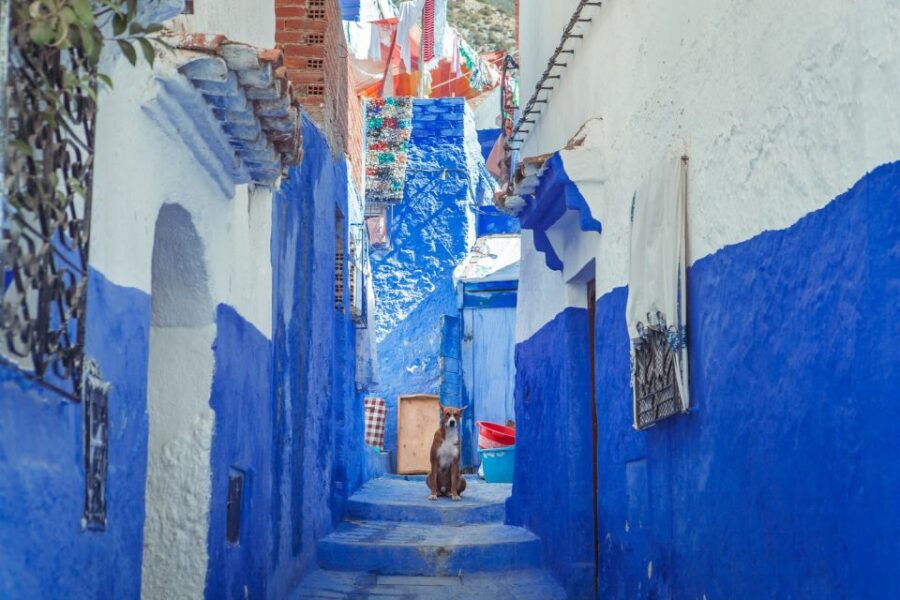 Chefchaouen Bleu City Day Trip From Casablanca