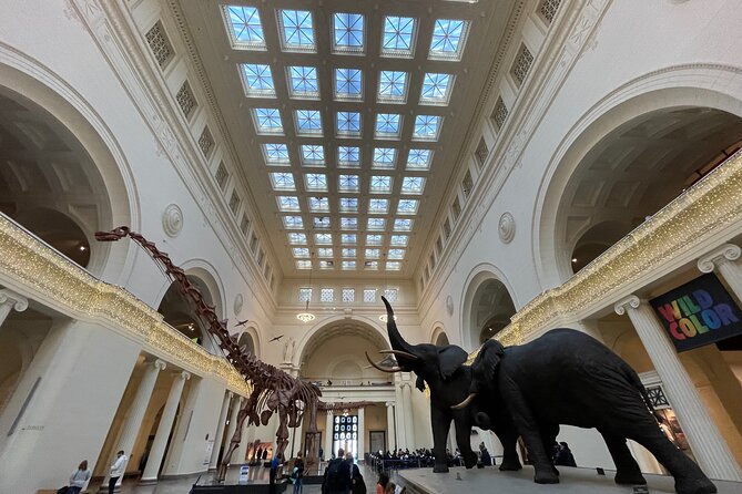 Chicago Field Museum of Natural History Semi-Private Guided Tour - Pricing and Payment Details