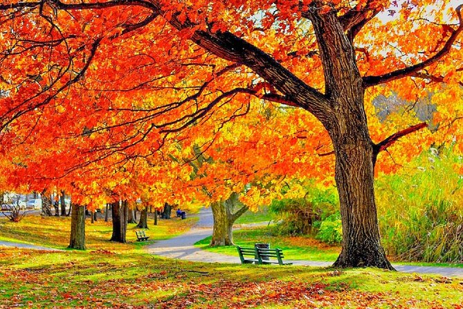 Chicago, Milwaukee&Lake Geneva Autumn Maple Foliage 1-Day Tour