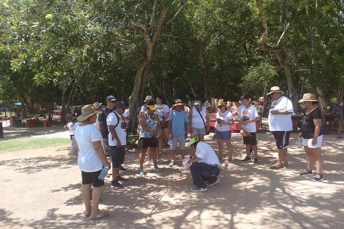 Chichen Itza Basic Tour: Sacred Cenote, Lunch, and Valladolid - Overview of the Tour