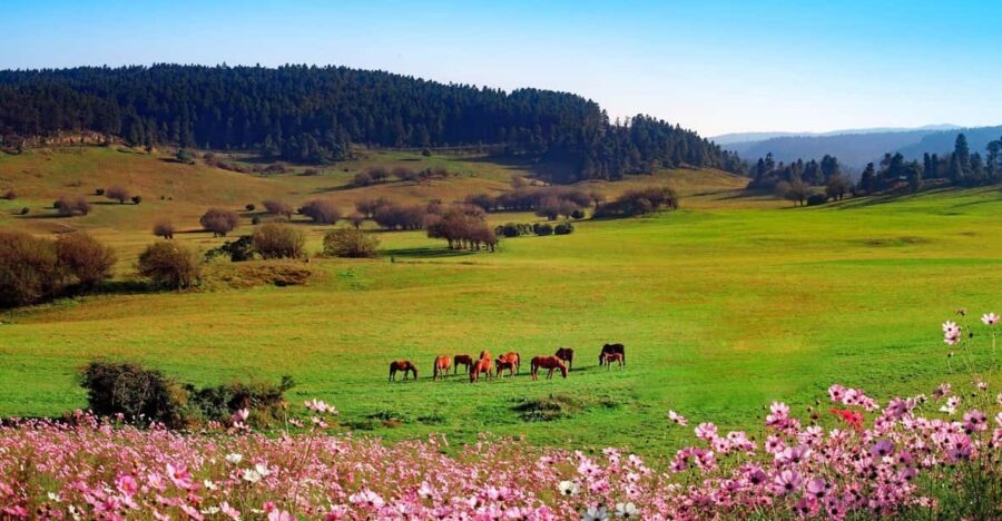 Chongqing:One-Day Wulong Hiketrip(Geopark+Fairy Mt)Car Incld