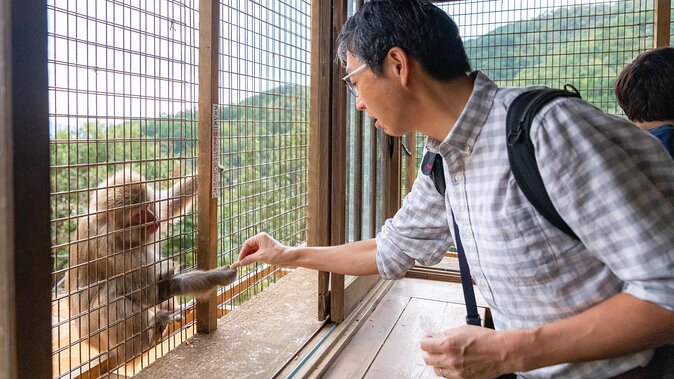 City Escape: Arashiyama Park Private Day Trip