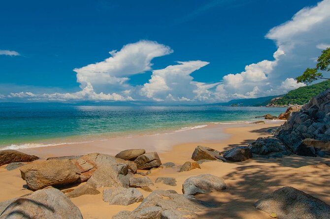 City Tour Express in Puerto Vallarta and Paradise Beaches - Overview of City Tour Express