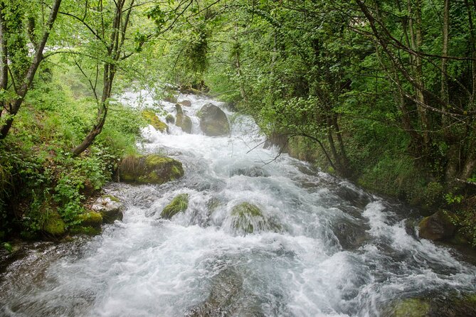 City Trip Struga and Independent Vevchani From Ohrid.