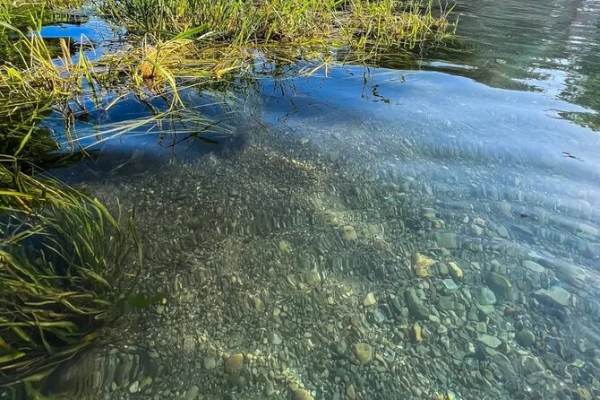 Clear Kayak Day Adventure Tour in San Marcos