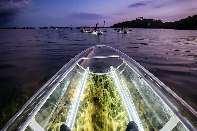 Clear Kayak LED Night Glass Bottom Tour – Sarasota