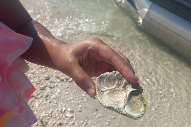 Clearwater Beach Pontoon Tours