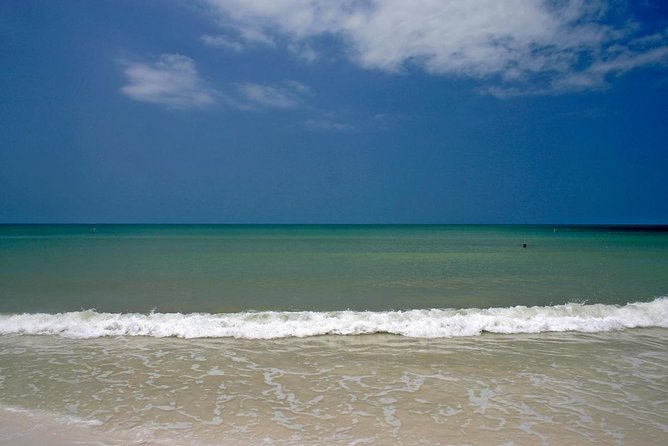 Clearwater Inshore Fishing Charter