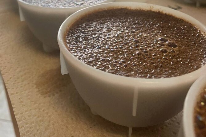 Coffee Sensory Training in Ljubljana