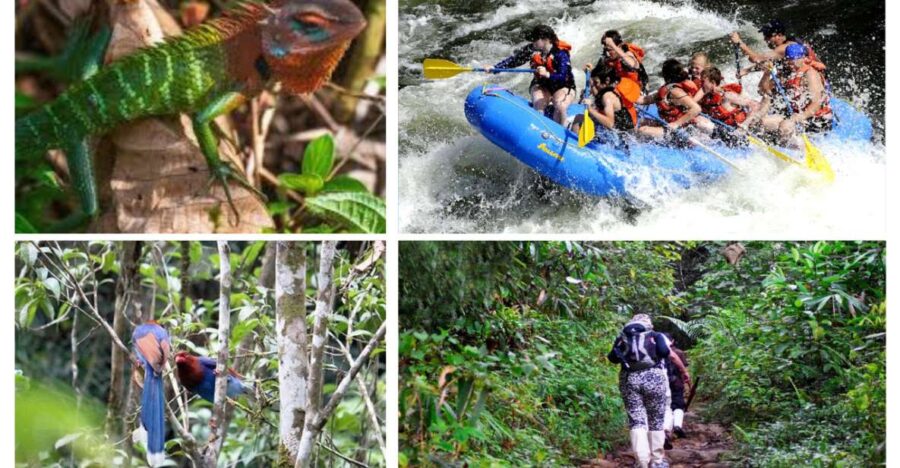 Colombo: Water Rafting, Bird Watching, Village & Rainforest