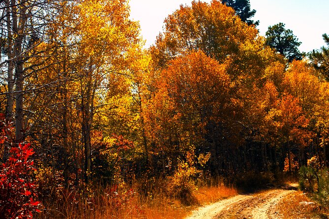 Colorado Peak-to-Peak Tour (Fall-Color-Extravaganza)