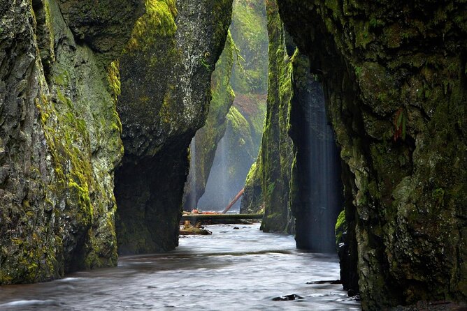 Columbia Gorge Waterfalls and Mt. Hood Tour – Full Day