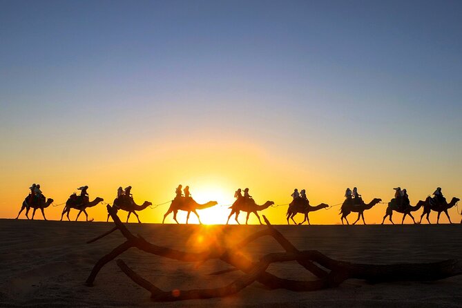 Combo 4X4 Automatic ATV & Camel Ride in Cabo by Cactus Tours Park - Whats Included