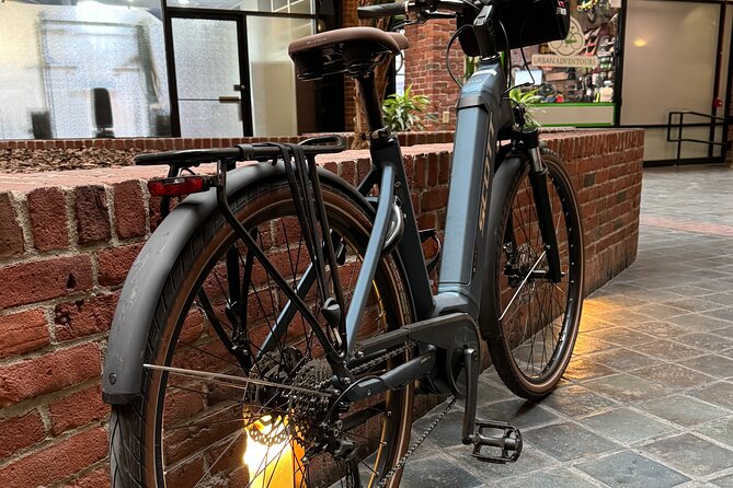 Comfort Electric Assist Bicycle Rental Review