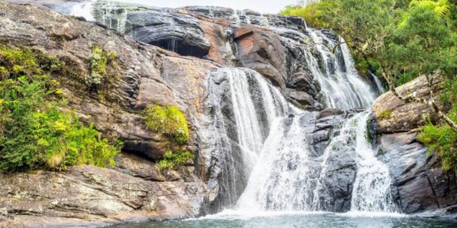 Comprehensive Excursion: Horton Plains and Pedro Tea Factory