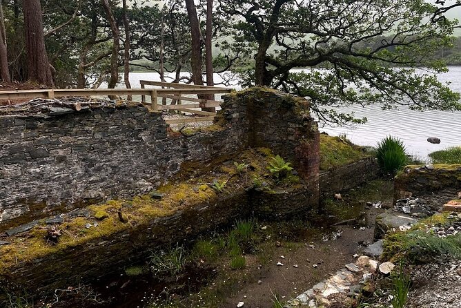 Connemara, Kylemore Abbey & Castles Tour From Galway