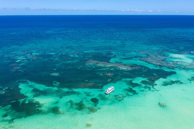 Coral Snorkeling Private Tour in Punta Cana With Seafood Lunch