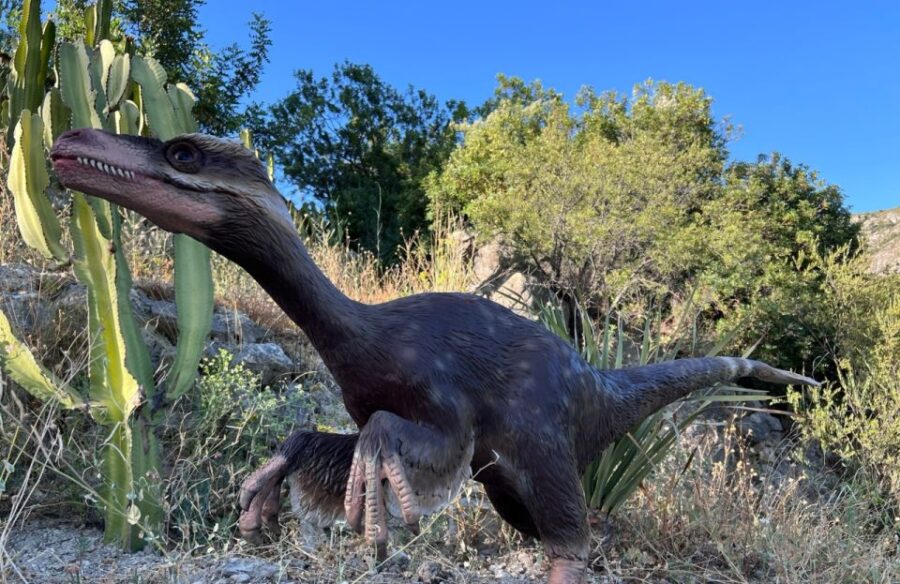 Costa Blanca: DinoPark Algar Entry Ticket