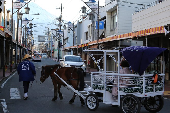 Cosy Horse Carriage Ride With Snowy Mt. Fuji Views