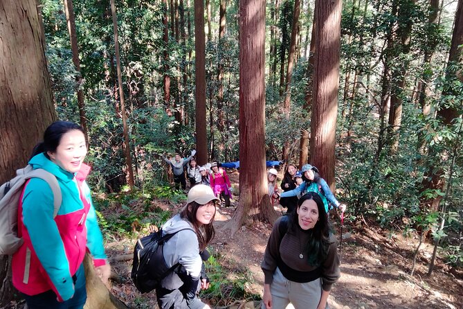 Countryside Walking & Mountain Hiking in Organic Town Near Tokyo