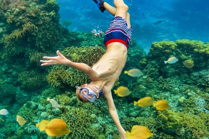 Cozumel Catamaran Experience With Snorkeling & Beach Club
