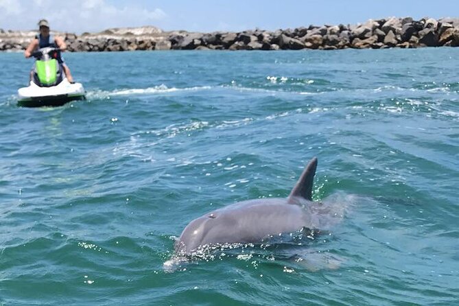 Crab Island Dolphin Jetski Adventure - Exploring the Gulf of Mexico in Search of Dolphins