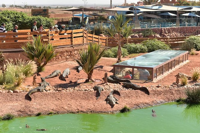 Crocodiles Park and Botanic Garden Review
