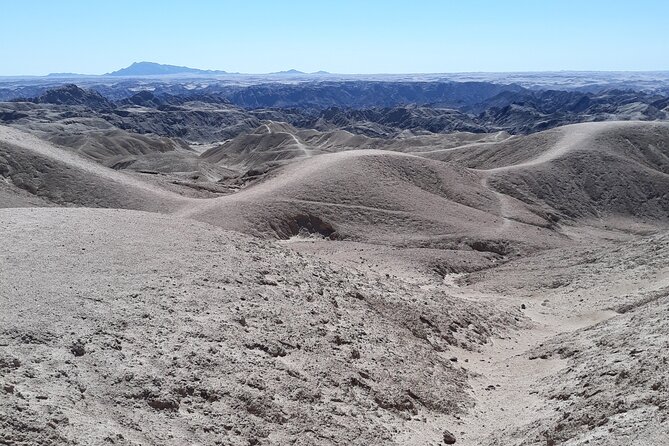Cruise Liner Special: Swakopmund and Namib Desert Highlights