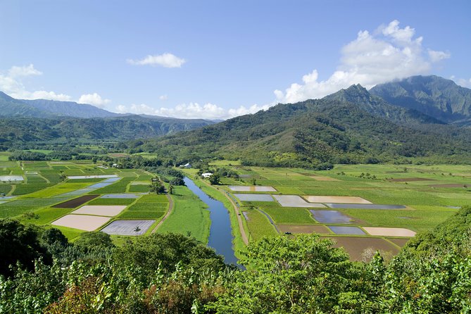 Cruise Ship Shore Excursion: Kauai Movie Sites Tour - Tour Overview