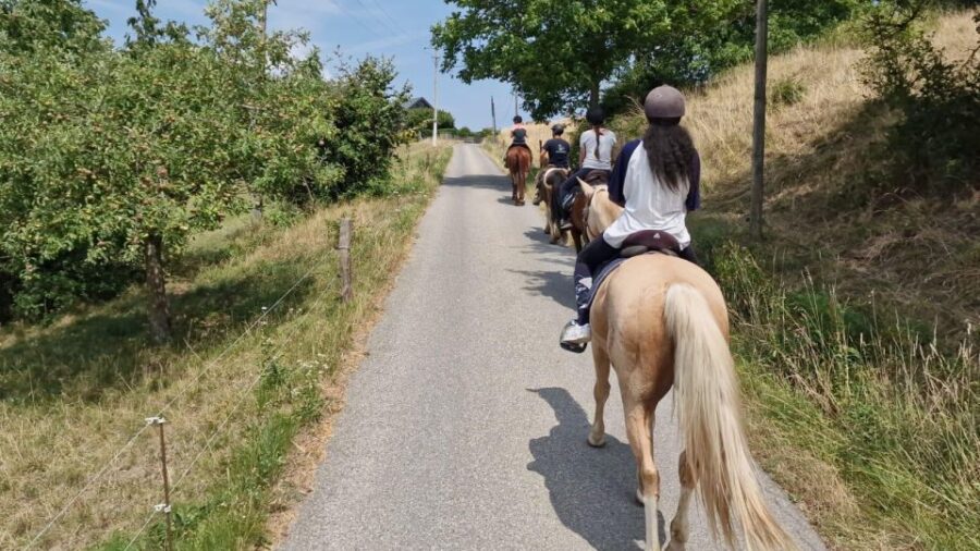 Cruseilles: Horseback Riding in the Countryside