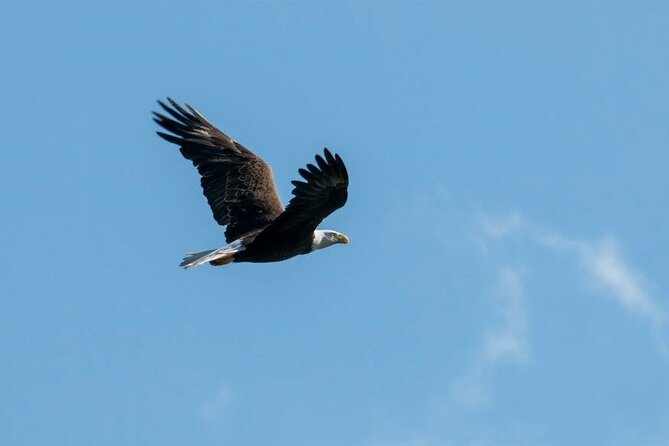 Crystal River National Wildlife Refuge Sightseeing Cruise