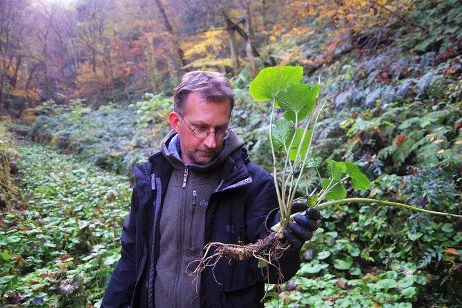 Cultivate Organic WASABI