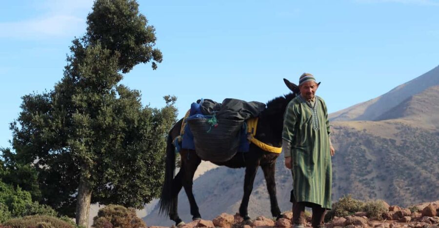 Cultural Day Trip to the Atlas Mountain From Marrakesh