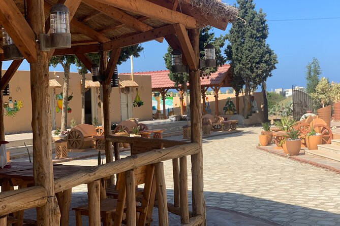 Cultural Experience of Bedouin Village in Mahdia - Overview of the Bedouin Village