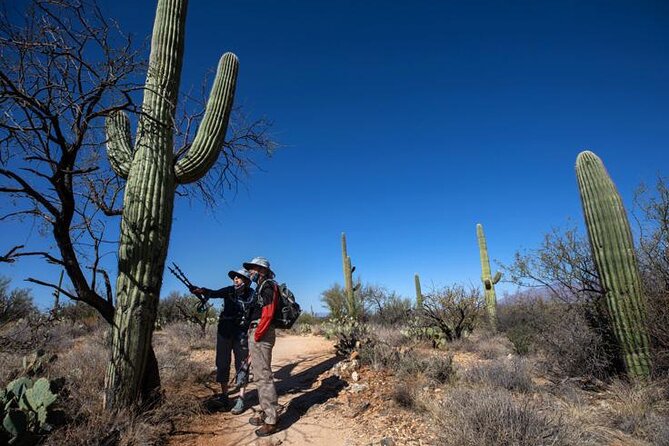 Custom Private Tucson Day Tour Review