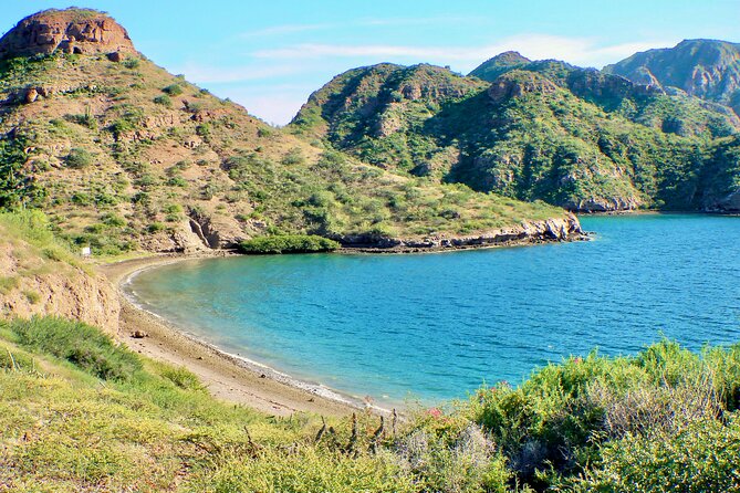 Danzante Island and Snorkel Tour From Villas Del Palmar Hotel