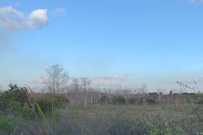 Dark Skys in the Florida Everglades Review