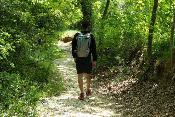 Day in Guided Tour to the Forgotten Village of Elcito With Snack