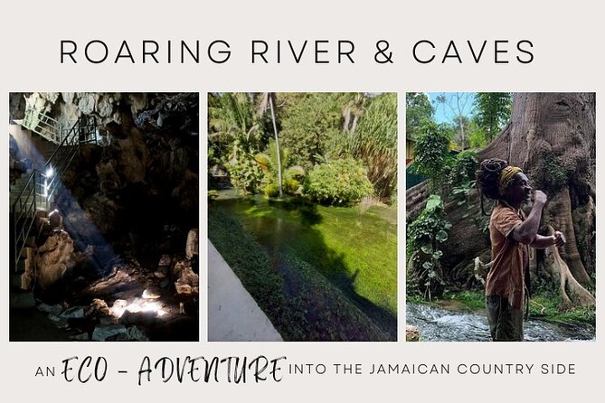 Day Tour at Roaring River and Cave, Blue Hole, Mineral Springs - Tour Highlights