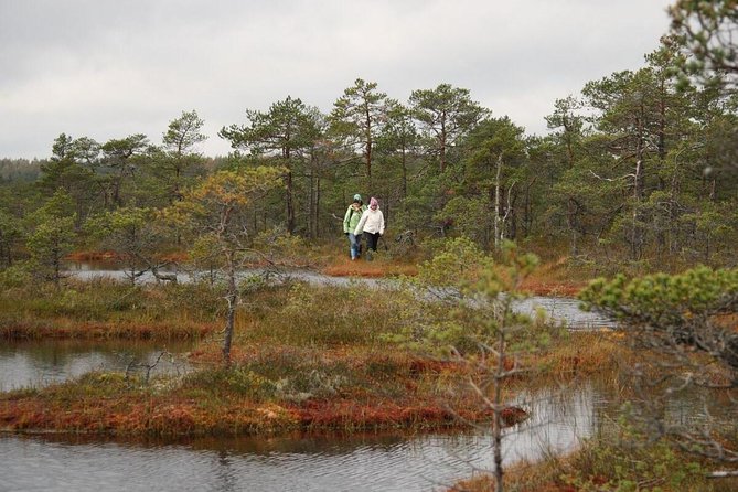 Day Tour to Magical Bog Shoe Walking Tour