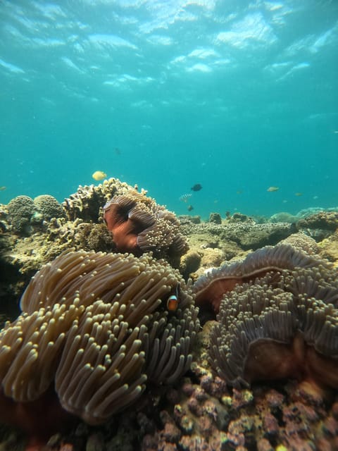 Day Trip 5 Secret Giilis in West South of Lombok