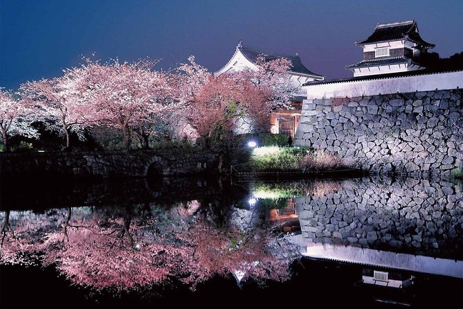 Day Trip for SAKURA at Aso & Kumamoto From Fukuoka With Minibus