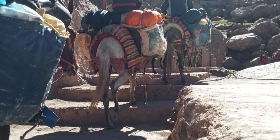 Day Trip From Marrakech