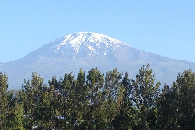 Day Trip Kilimanjaro Shira Plateau From Moshi
