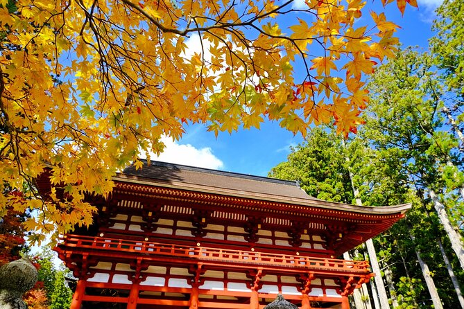 Day Trip Sacred Sites at Koyasan From Osaka - Tour Overview