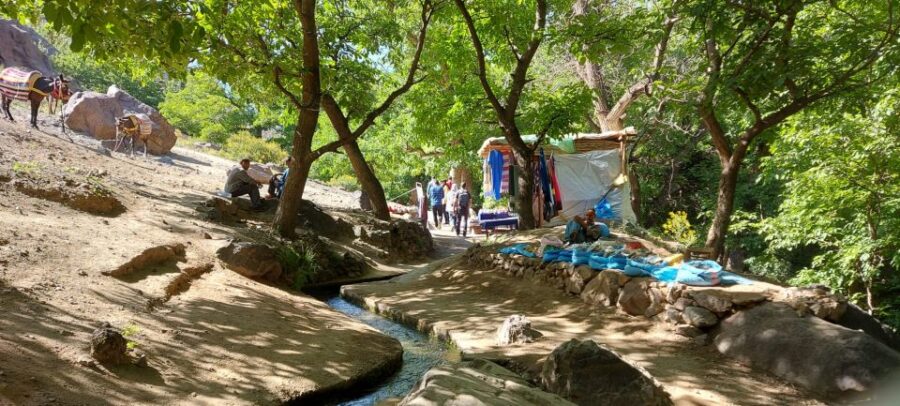 Day Trip To Agafay Desert and Atlas Mountains